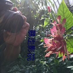 暴(bào)走影(yǐng)院