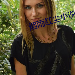 烟雨(y)红尘小说(shu)网(wǎng)