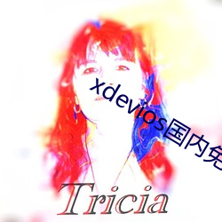 xdevios国内免翻