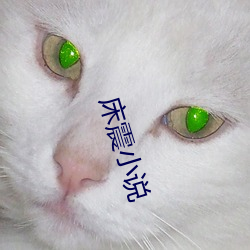 床震小說