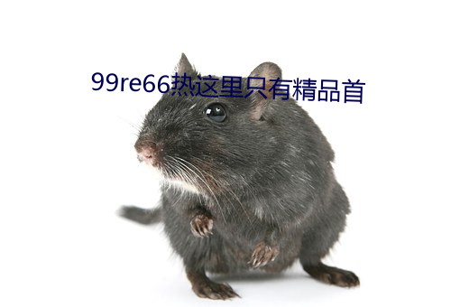 99re66热这里只有精品首