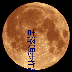 吉泽明步作品
