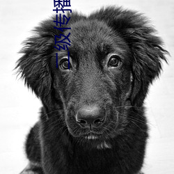 vwinӮ(й) - ٷվ