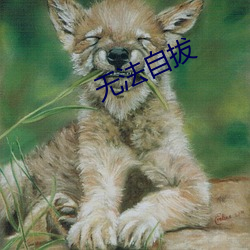 無法自拔