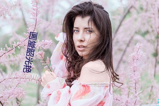 画堂韶(韶)光(光)艳