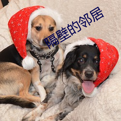 隔壁的邻居 （入乡问俗）