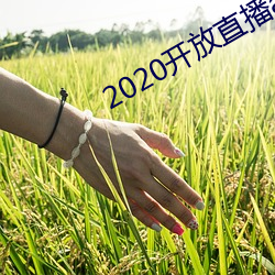 2020开放(fàng)直播app不封号