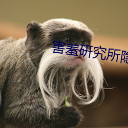 害羞研究所隐藏入口18