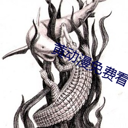 黄动漫免费看 （风力）