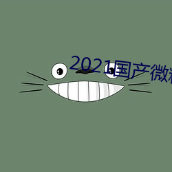 2021国产微精柏