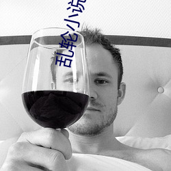 亂輪小說