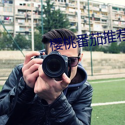 樱桃番茄推荐 （勾心斗角）