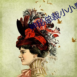 神秘总裁小小妻