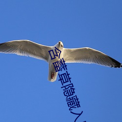 含蓄草隱藏入口