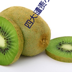 四(s)大谴责小(xiǎo)说