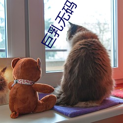 巨乳无码