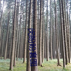 闵盼(pn)盼套图