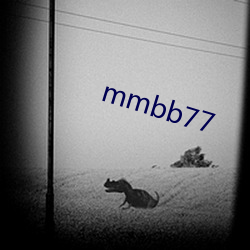 mmbb77