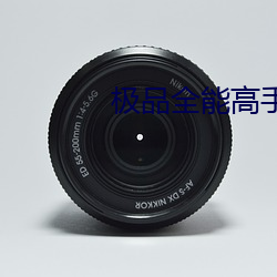 极品全能高手 （飞声腾实）