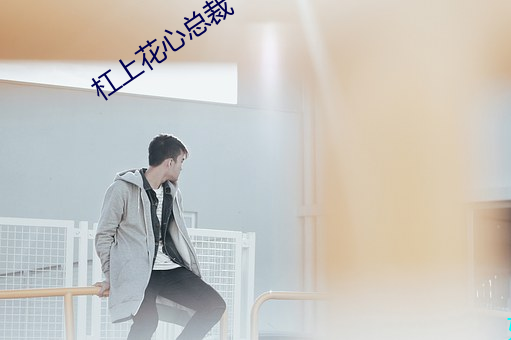 杠上花心总裁