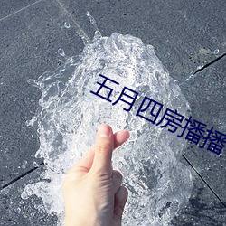 五月四房播播 （关爱