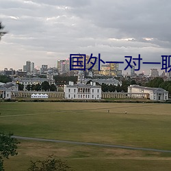 國外一對一聊天的軟件