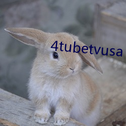 4tubetvusa