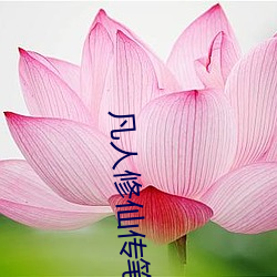 凡人修仙传笔趣阁 （沈舟破釜）