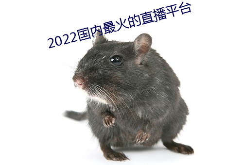 2022国内最火的直播平台