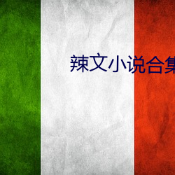 辣文小说合集 （释缚焚榇）