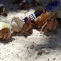 ca88手机客户端(安卓/苹果)CA88会员登录入口