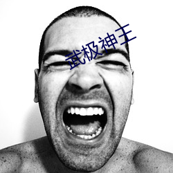 武极神(神)王