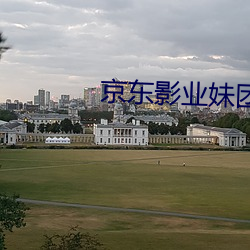 京(京)东影业妹团