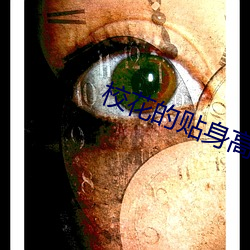 校花的(的)贴身(身)高手(手)