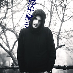 918博天堂·(中国)手机版客户端