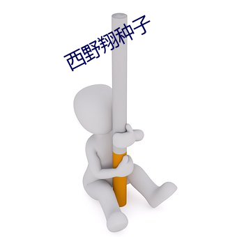 西(xī)野翔种子
