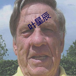 叶星辰(辰)