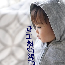 向日葵视频色板 （枝附叶从）
