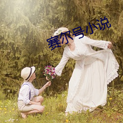 赛尔号小说