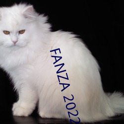 FANZA 2022 ͨԱ(yun)