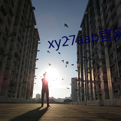 xy27aap官网下载