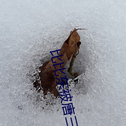 比比東被唐三桶的不亦樂乎最新章節(迷路的斑斑著)
