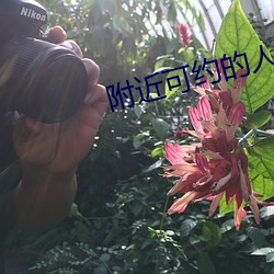 附近可約的人