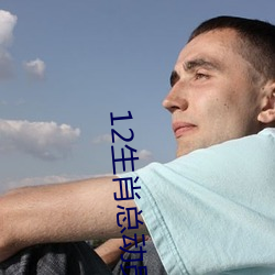 12生(shēng)肖(xiào)总动员