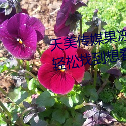 ǲ(й)ٷվ