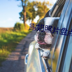 露奶照片盘点