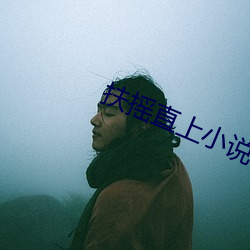 扶摇直上小说