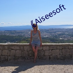 《Aiseesoft