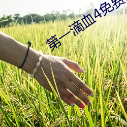 第一滴血4免费(fèi)观看完整(zhěng)视