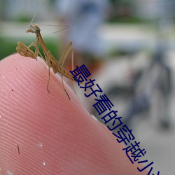 最好看的穿越小说